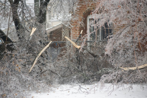 Limit Exposure to Liability for Winter Storm Damage